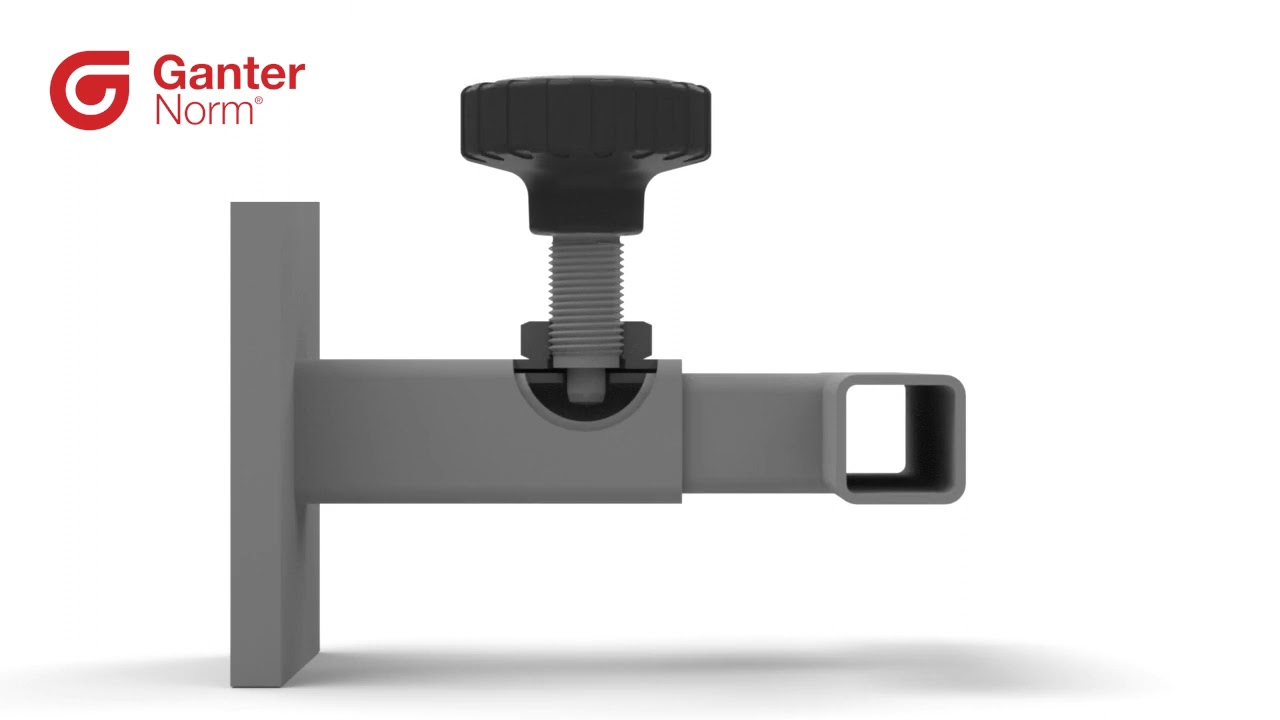Manopole di bloccaggio con pistoncini di posizionamento a molla GN 7336.7